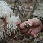 Farmház Le Ceregne Bio