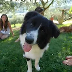 Farmház Le Ceregne Bio